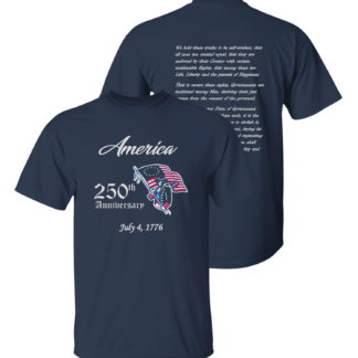 Colonial Patriot Declaration