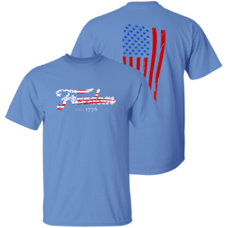 Freedom with back flag